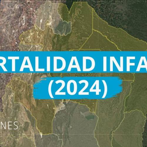 Mortalidad Infantil (2024)